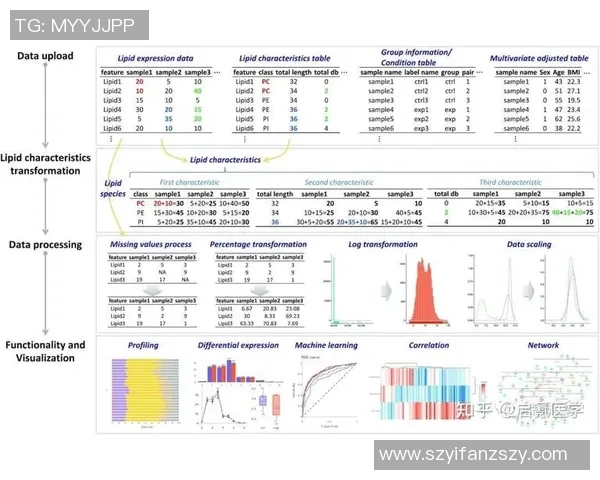 数据分析：IG的技术表现